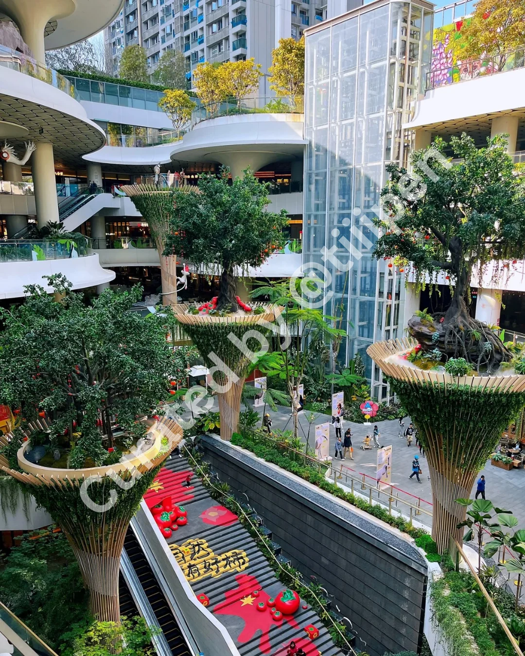 Mall - 17